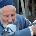 Güvercin besleyen Halil Dede, örnek oluyor