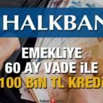 HalkBank emeklilere 100 bin TL 60 ay vade ile İhtiyaç Kredisi veriyor! Kredi başvurusu