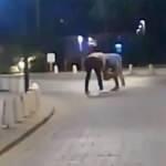Herkes güreş sandı, tekme ve yumruklar havada uçuştu