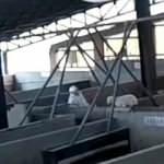İspanya’da mezbahada kuzulara akılalmaz işkence kamerada!