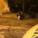 Adana'da hırsızlık şüphelisini 'Zümrüt' isimli köpek yakaladı