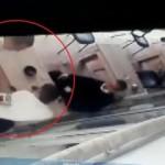 Akli dengesi yerinde olmayan saldırgan çay içen şahsı defalarca böyle bıçakladı