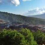 Bergama'dan yayılan yangında 100 hektar orman k&uuml;l oldu