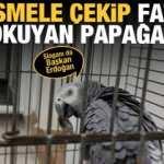 Besmele çeken Fatiha okuyan papağan! Sloganıda Başkan Erdoğan