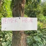 Yoldan geçen durup meyve koparıyor!