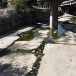 İzmir'de kötü koku isyanı!