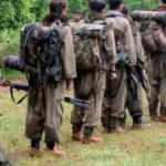 PKK’yı cepheye sürdüler!