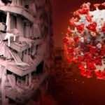 17 Ağustos ve koronavirüs arasında ilginç rastlantı!