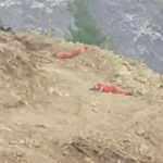 44 saatin sonunda yorgun düştüler