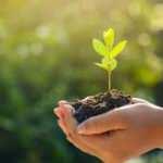 Bakan Selçuk'tan öğretmenlere fidan dikme çağrısı