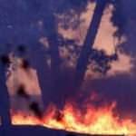 Herkes 'yeşilli' kadının peşinde! Hatay'daki yangında ortalığı karıştıran iddia