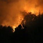 Kastamonu'daki orman yangını kontrol altına alındı