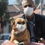 Maskeli 'Fındık' ilgi odağı oldu