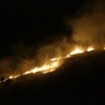 Trabzon Medical Park Stadı'nın yakınında korkutan yangın