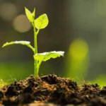 Futbol kulüpleri Hatay için birleşti