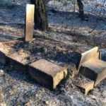 Hatay’daki orman yangınında mezarlıklar da zarar gördü