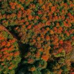 İstanbul'a yakın en g&uuml;zel sonbahar manzaraları