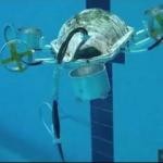 Kaplumbağadan ilham alan üniversiteli 7 genç "su altı drone" prototipi üretti