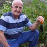 Patlıcan tohumu ekti, hayatının şokunu yaşadı