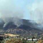 Spor kulüplerinden Hatay için "fidan" kampanyası