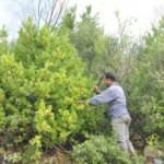 D&uuml;nya onun peşinde! Kilosu 2.5 lira