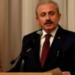 Erdoğan'ın Fransız mallarını boykot çağrısına TBMM Başkanı Şentop'tan destek!