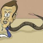 Macron'u karikatürize eden çizer işinden kovuldu