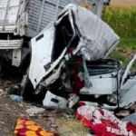 Viranşehir'de iki kamyon çarpıştı: 2 ölü, 2 yaralı