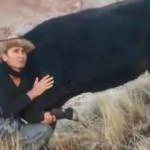 Bacağı kırılan hamile ineği i&ccedil;in helikopter istedi