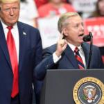 T&uuml;rkiye'ye tehditler savuran Senat&ouml;r Graham yeniden se&ccedil;ildi