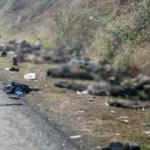 Ermenistan askerlerinin cesetlerini bırakarak gidiyor