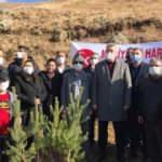 Kayseri'de MHP teşkilatı şehitler için Erciyes'e 406 fidan dikti