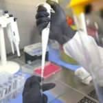 Koronavirüste dikkat çeken araştırma: Gen içinde gen!