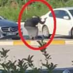 Tartıştığı adamı silahla yaralayıp darbeden kadın gözaltında