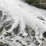 Derede oluşan k&ouml;p&uuml;k ve k&ouml;t&uuml; koku korkutuyor