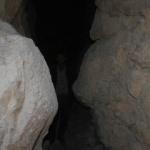 Divle obruk peynirine talep artınca 60 yıldır kullanılmayan mağaralar üretime geçti!