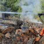 Manavgat'ta yanan orman alanında ka&ccedil;ak kesim yapıldığı belirlendi