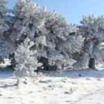 Muğla'nın 3 ilçesinde kar yağışı