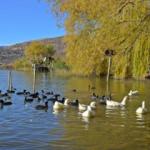 G&ouml;lbaşı G&ouml;lleri Tabiat Parkı doğaseverleri hayran bırakıyor