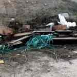 Yol kenarında çok sayıda tabut ve koruyucu kıyafet bulundu