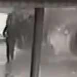 Öldürmeyen Allah öldürmüyor! Ölümden saniyeler içinde kaçış kamerada