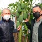 15 yıl önce tadına bakıp çok beğenince karar verdi! 45 bin TL kazanıyor