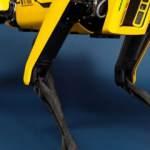 Boston Dynamics yaklaşık 1 milyar dolara Hyundai'ye satıldı