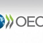 OECD: Öncü göstergeler, toparlanmanın devam ettiğini gösteriyor