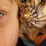 &Ouml;ğrendiğinizde şaşıracağınız ilgin&ccedil; bilgiler	