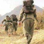 Sincar Tiyatrosu: Haşdi şabi'ye katıldılar