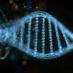 İnsan DNA'sındaki 5 genin koronavirüs ile bağlantısı ortaya çıktı