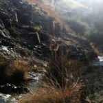 İslahiye &Ccedil;ınarcık deresinde erkek cesedi bulundu