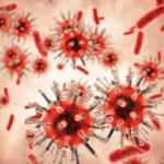 B117 virüsü nedir? B117 virüsü belirtileri ve özellikleri nelerdir nasıl bulaşır?