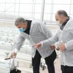 Canbey'den Susurluk'a topraksız sera talebi